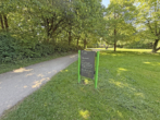 Kernsaniertes Apartment mit neuer Einbauküche zum Erstbezug Nähe Luitpoldpark - Bild
