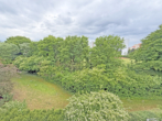 Nur 5 Gehminuten zur U-Bahn - Frisch renovierte 3-Zimmer-Terrassenwohnung mit Südterrasse & Balkon - Bild