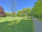 Leben am See! Großzügige Terrassenwohnung mit hochwertiger Ausstattung direkt am Naherholungsgebiet - Bild